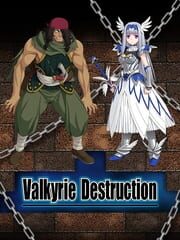 Valkyrie Destruction cover