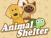 Animal Shelter
