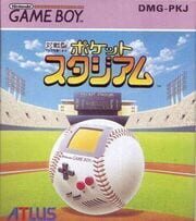 Pocket Stadium cover