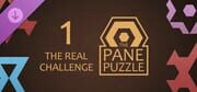 The Pane Puzzle: The Real Challenge DLC 1 cover