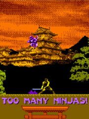 Too Many Ninjas! cover