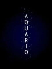 Art Style: Aquia