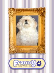 Franny Answers