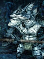 Dungeons & Dragons Online: The Red Fens cover