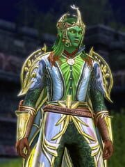 Dungeons & Dragons Online: Premium Archetype - Wild Mage cover