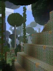 Untold Stories 2: Bigleaf Forest