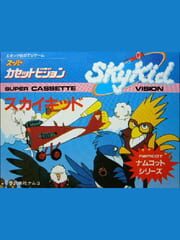 Sky Kid