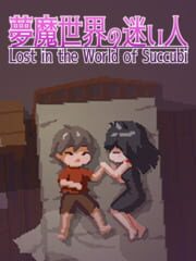 Lost in the World of Succubi cover