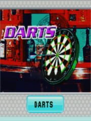 Darts cover