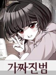 The False Culprit cover