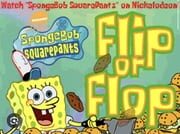 Flip or Flop