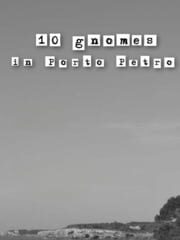 10 Gnomes in Porto Preto