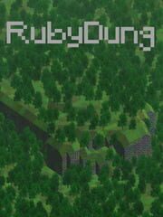 RubyDung
