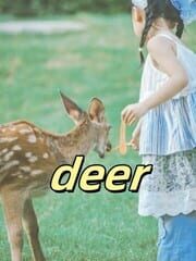 Deer cover