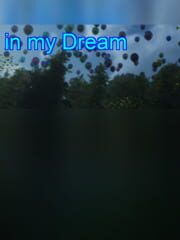 in my Dream