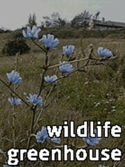 Wildlife Greenhouse
