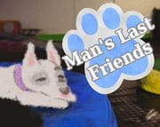 Man's Last Friends cover