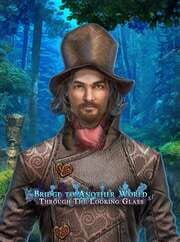Bridge to Another World: Through the Looking Glass - Collector's Edition cover
