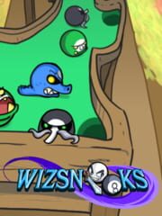 Wizsnooks cover