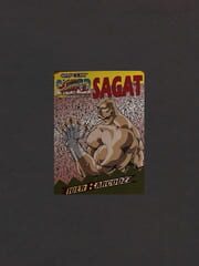 Super Street Fighter II: The New Challengers - Tiger Barcodzz: Sagat cover