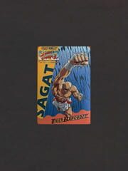 Super Street Fighter II: The New Challengers - Tiger Barcodzz: Sagat cover