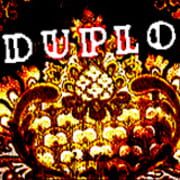 Duplo cover
