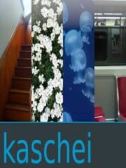 Kaschei cover