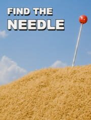 Find The Needle cover art