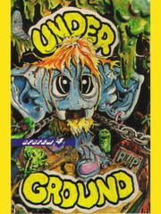Underground cover