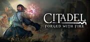 Citadel: Forged With Fire