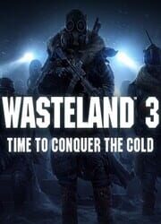 Wasteland 3