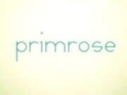 Primrose cover