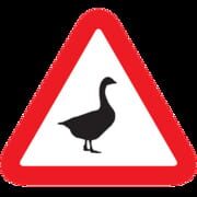 Untitled Goose Game