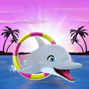 My Dolphin Show
