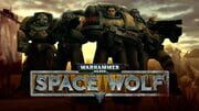 Warhammer 40,000: Space Wolf