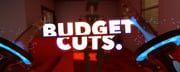 Budget Cuts