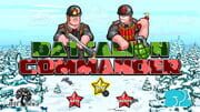 Battalion Commander
