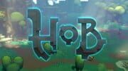 Hob