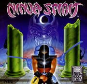 Ninja Spirit
