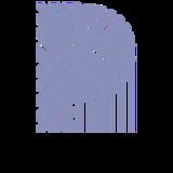 Polyphony Digital company logo