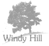 Logo of Windy Hill Studio