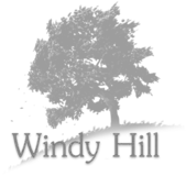 Windy Hill Studio logo
