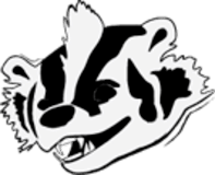 Happy Badger Studio