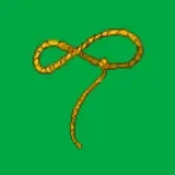 Lasso Games, LLC logo