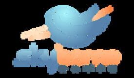 Skyborne Games