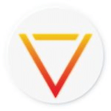 Visionaries LLC logo