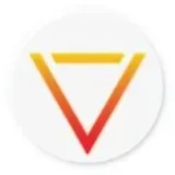 Visionaries LLC logo