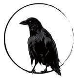 RIVER CROW STUDIO company logo