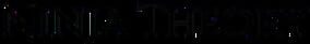 Ninja Theory company logo