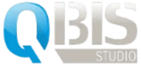 Qbis Studio logo